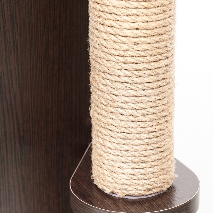 Комплекс для кошек с когтеточкой, с домиком, 58 х 54 х 87см, ЛДСП, цвет венге Комплекс для кошек с когтеточкой, с домиком, 58 х 54 х 87см, ЛДСП, цвет венге