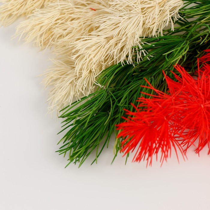 Набор сухоцветов &laquo;Яркий день&raquo;, цвет МИКС