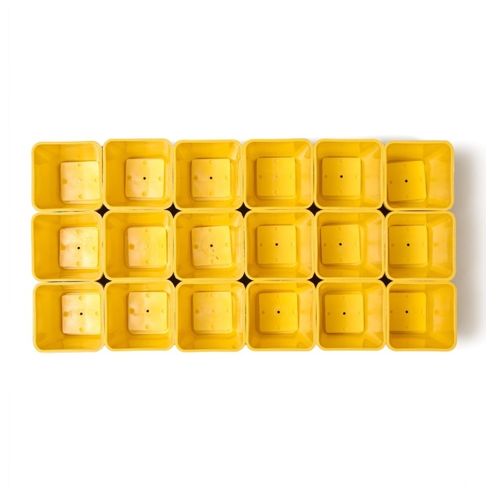 Набор для рассады: стаканы по 200 мл (18 шт.), поддон 36,5 × 17 см, цвет МИКС, Greengo Набор для рассады: стаканы по 200 мл (18 шт.), поддон 36,5 × 17 см, цвет МИКС, Greengo