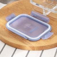 Контейнер из жаропрочного стекла, с крышкой, 600 мл, цвет синий