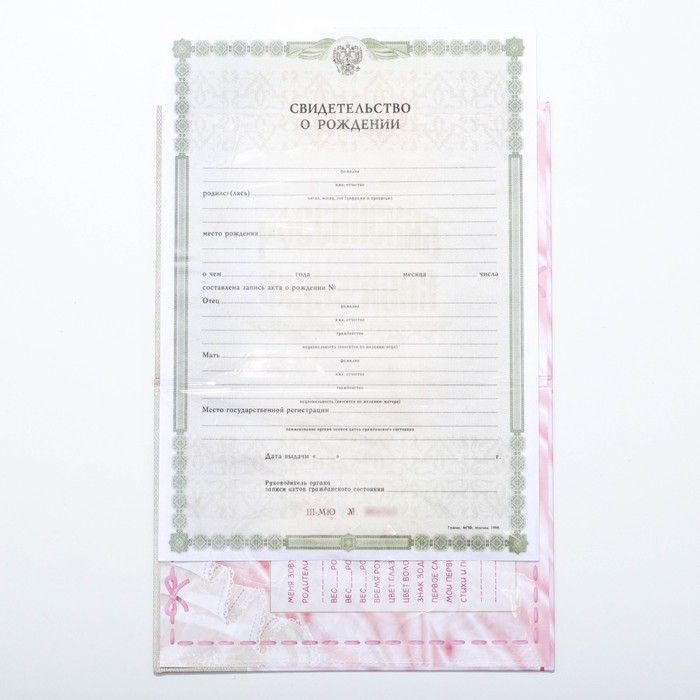 Папка для свидетельства о рождении &laquo;О рождении девочки&raquo;, А5