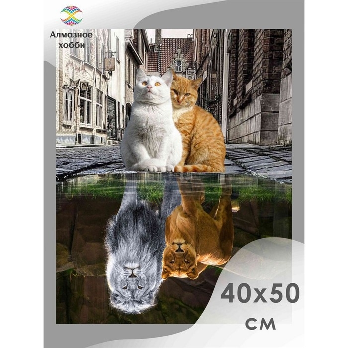 Алмазная мозаика &laquo;Отражение души&raquo; 40 &times; 50 см