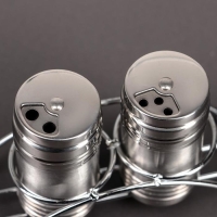 Набор для специй из нержавеющей стали на подставке &laquo;Металлик&raquo;, 100 мл, 2 шт, цвет серебряный