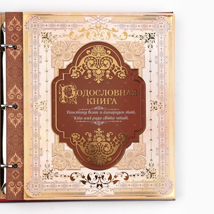 Родословная книга с рамкой под фото &laquo;Семейная книга&raquo;, 50 листов, 21,5 х 23,7 см.