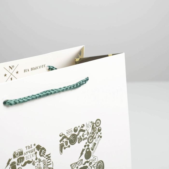 Пакет подарочный ламинированный вертикальный, упаковка, &laquo;23 февраля&raquo;, ML 23 х 27 х 11,5 см