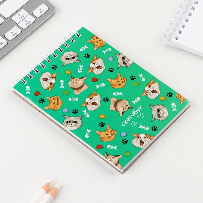 Скетчбук &laquo;Коты&raquo;, А6, 40 листов, 100 г/м