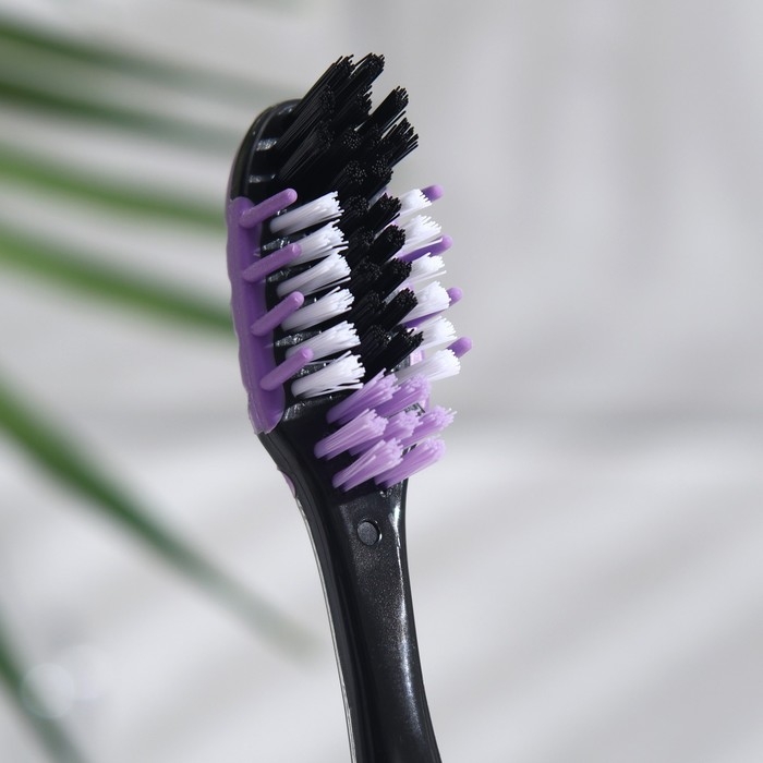 Зубная щётка «Смарт» Black средней жесткости, фиолетовый + зеленый, 2 шт. Зубная щётка «Смарт» Black средней жесткости, фиолетовый + зеленый, 2 шт.