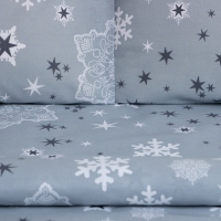 Постельное бельё Этель Евро Snow time 200х217см,220х240см,50х70см-2 шт