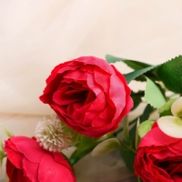 Букет "Пион Бамби" 5х30 см, микс