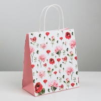 Пакет подарочный крафт, упаковка, &laquo;Мечтай!&raquo;, 22 х 25 х 12 см