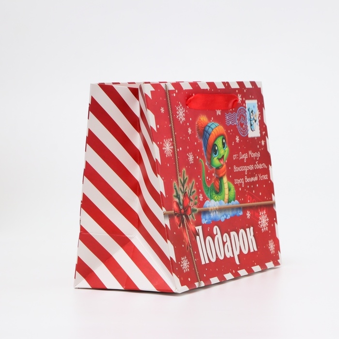 Новый год. Пакет ламинированный &laquo;Змейка&raquo;, MS 23 &times; 18 &times; 10 см.