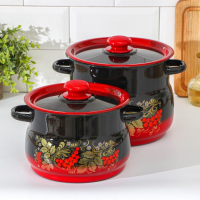 Набор кастрюль &laquo;Рябинка&raquo;, 2 предмета: 4 л, 5,5 л, индукция