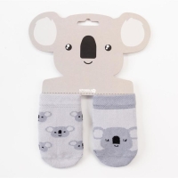 Набор носков Крошка Я &laquo;Коала&raquo;, 2 пары, 8-10