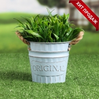 Кашпо "Ведерко оригинальное" МИКС, 13х13х12см Кашпо "Ведерко оригинальное" МИКС, 13х13х12см