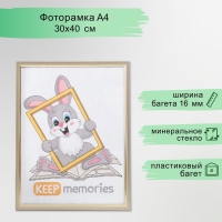 Фоторамка пластик 30х40 см, 137-126 Фоторамка пластик 30х40 см, 137-126