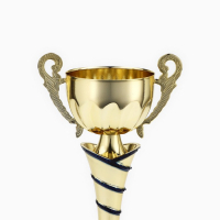 Кубок 139C, наградная фигура, золото, подставка пластик, 29,5 × 13 × 7,5 см. Кубок 139C, наградная фигура, золото, подставка пластик, 29,5 × 13 × 7,5 см.