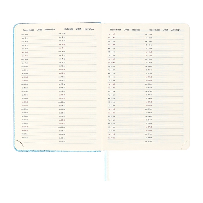 Ежедневник датированный 2025 года A5, 168 листов, deVENTE. Barbara, твердая обложка кожзам с поролоном, перфорацией, ляссе, блок 70, голубой