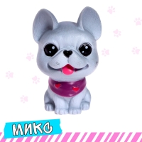 Питомец «Любимый», МИКС Питомец «Любимый», МИКС