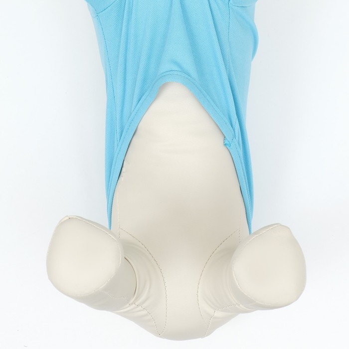 Футболка-поло для животных, XS (ДС 20, ОГ 30, ОШ 21 см), голубая