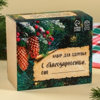 Набор &laquo;Будьте здоровы&raquo;: чай 20 г., варенье из сосновых шишек 30 г., бальзам 100 мл.