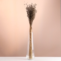 Набор сухоцветов "Лён-долгунец", банч длина 55-60 (+/- 6 см), бронза Набор сухоцветов "Лён-долгунец", банч длина 55-60 (+/- 6 см), бронза