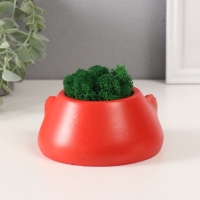 Кашпо бетонное "Злобный смех" со мхом 6,5*12,5см красный (мох зеленый стабилизированный) Кашпо бетонное "Злобный смех" со мхом 6,5*12,5см красный (мох зеленый стабилизированный)