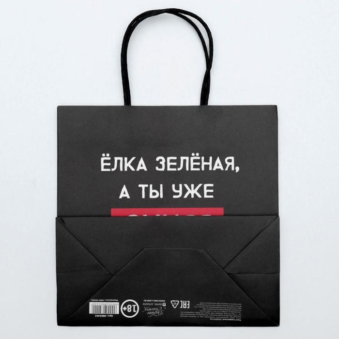 Пакет подарочный новогодний &laquo;А ты уже синяя&raquo;, 22 х 22 х 11 см, Новый год