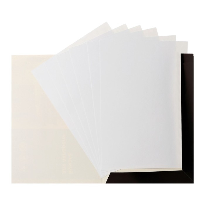 Бумага для акварели в папке А3, 20 листов, BG Бумага для акварели в папке А3, 20 листов, BG "Антикварный комод", 270 г/м2