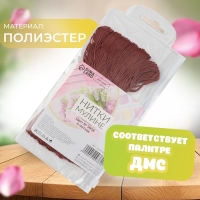 Набор ниток мулине №3858, 8 &plusmn; 1 м, 6 шт, цвет бронзовый