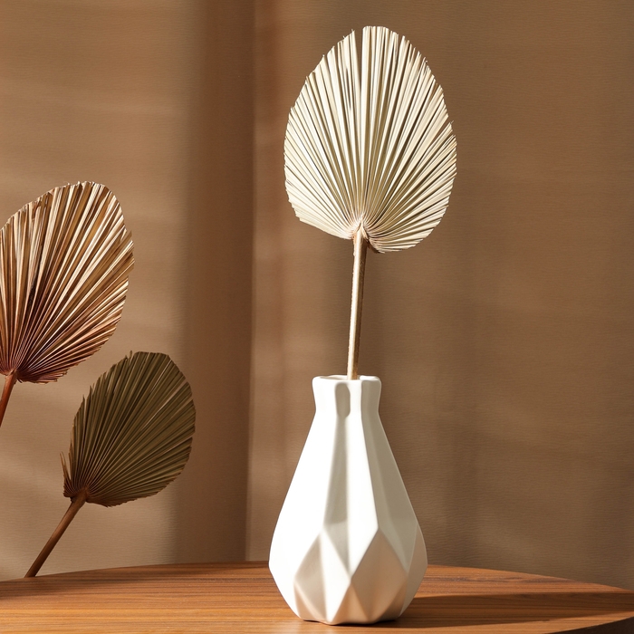 Сухие цветы &laquo;Лист пальмовый&raquo;, 52 &times; 14 &times; 2 см