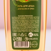 Гель для душа &laquo;Чудес в Новом Году!&raquo;, 250 мл, аромат апельсина и орехов, ЧИСТОЕ СЧАСТЬЕ