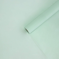 Плёнка для цветов упаковочная тишью влагостойкая &laquo;Мята&raquo;, 0.6 x 8 м, 30мкм