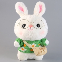 Мягкая игрушка «Зайка», в кофточке с сумочкой, 25 см, цвет МИКС Мягкая игрушка «Зайка», в кофточке с сумочкой, 25 см, цвет МИКС