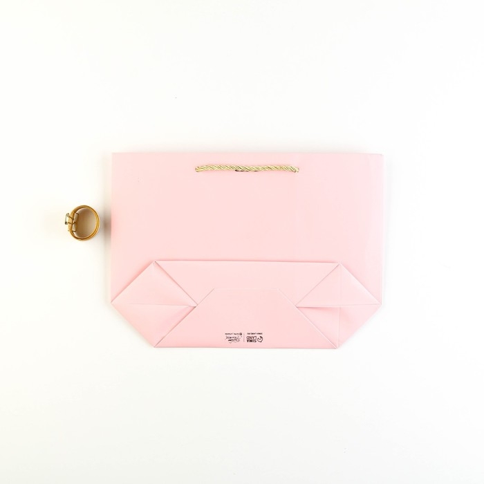 Пакет подарочный, упаковка, &laquo;Самой&raquo;, 19 х 20 х 9 см