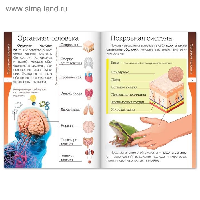 Набор книжек-шпаргалок &laquo;Мир природы и человека&raquo;, 6 шт.