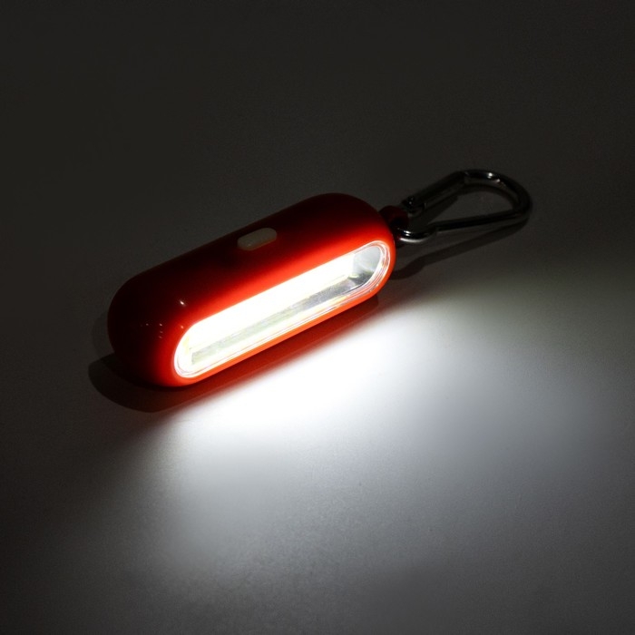 Фонарь-брелок, 100 лм, COB, 1 ААА, 3 режима, с карабином, 8 х 2.5 х 2 см, микс Фонарь-брелок, 100 лм, COB, 1 ААА, 3 режима, с карабином, 8 х 2.5 х 2 см, микс