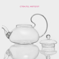 Чайник стеклянный заварочный с металлическим ситом Доляна &laquo;Элегия&raquo;, 600 мл