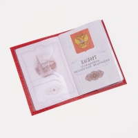 Обложка для паспорта, цвет красный