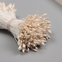 Тычинки для искусственных цветов глянец "Рисинки" рисовый набор 360 шт длина 6 см Тычинки для искусственных цветов глянец "Рисинки" рисовый набор 360 шт длина 6 см