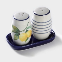 Набор для специй Доляна &laquo;Лимон&raquo;, 2 предмета: солонка 130 мл, перечница 130 мл