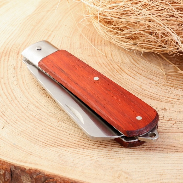 Нож складной Нож складной "Брич", клинок 82мм/3мм, рукоять дерево