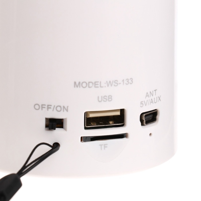 Портативная колонка WS-133, 3 Вт, microSD, FM, USB, белая Портативная колонка WS-133, 3 Вт, microSD, FM, USB, белая