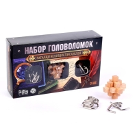 Головоломка металлическая &laquo;Загадки Великих писателей&raquo;, набор 3 шт.