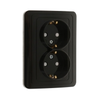 Розетка двухместная со шторкой Luazon Lighting "Орион", 16 А, скрытая, с з/к, черная Розетка двухместная со шторкой Luazon Lighting "Орион", 16 А, скрытая, с з/к, черная