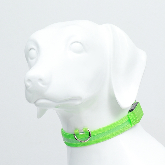 Ошейник с подсветкой размер L, ОШ 45-52 х 2,5 см, 3 режима свечения зелёный Ошейник с подсветкой размер L, ОШ 45-52 х 2,5 см, 3 режима свечения зелёный