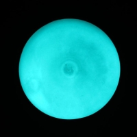 Краска акриловая люминесцентная (светящаяся в темноте), LUXART Lumi, 20 мл, зелёный, небесно-голубое свечение (L7V20) Краска акриловая люминесцентная (светящаяся в темноте), LUXART Lumi, 20 мл, зелёный, небесно-голубое свечение (L7V20)