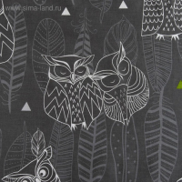 Постельное бельё "Этель" евро Ушастые совы (вид 1) 200 х 217 см, 220 х 240 см, 70 х 70 - 2 шт