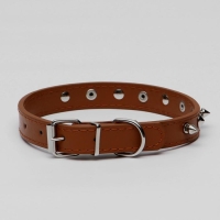 Ошейник "Лион" с шипами 45 х 2 см, ОШ 34-40 см, коричневый Ошейник "Лион" с шипами 45 х 2 см, ОШ 34-40 см, коричневый