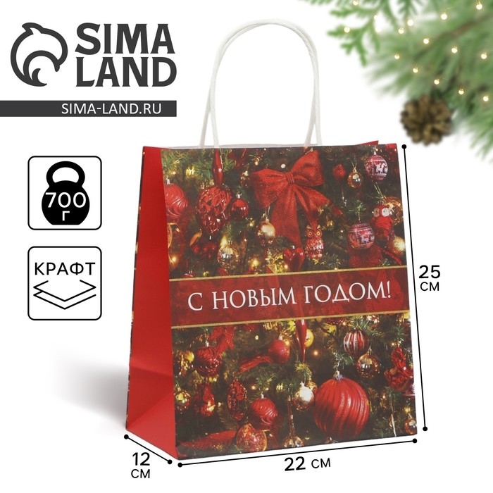 Пакет подарочный новогодний крафтовый «С Новым годом!», 22 х 25 х 12 см, Новый год Пакет подарочный новогодний крафтовый «С Новым годом!», 22 х 25 х 12 см, Новый год