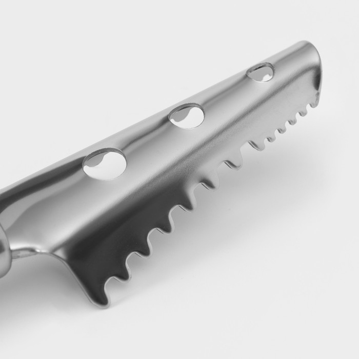 Рыбочистка Доляна Venus, 25 см, нержавеющая сталь, цвет чёрный Рыбочистка Доляна Venus, 25 см, нержавеющая сталь, цвет чёрный